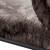 Bison Spirit Wall Art