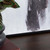 Frontier Gallop Wall Art