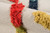 Bohemian Prairie Rug - 2 x 8