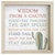 Wisdom Cactus Wall Art
