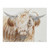 Peeking Highland Canvas Wall Art
