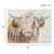 Peeking Highland Canvas Wall Art
