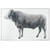 Ranch King Wall Art