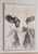 Whimsical Cow Wall Art