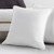 White Euro Sham