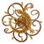 Sun Lizard Wall Clock