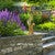 Designer Coyote Garden Statue