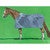 Chestnut in Green Field Canvas Print