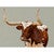 Wary Longhorn on Taupe Canvas Print