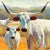 Longhorns in Midday Sun Canvas Print