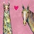 Horse & Llama Love on Pink Canvas Print