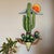 Cactus Skull Sunset I Metal Wall Art