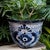 Blue Flower Planter