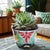 Green Footed Planter
