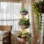 Petunia Hanging Planter