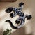 Blue Skies Salamander Wall Art