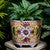Orange Flowers Planter