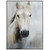 Equestrian Dreams Wall Art