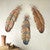 Feather Winds Wall Art - Set of 3
