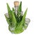 Lime Green Agave Tequila Set - Small