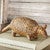 Dusty Armadillo Figurine