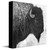 Plains Spirit Canvas Wall Art