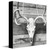 Barnwood Deer Skull Canvas Wall Art