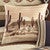 Desert Canyon Cactus Pillow