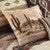 Desert Canyon Cactus Pillow