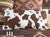 Spirit Guides Faux Cowhide Pillow