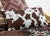 Spirit Guides Faux Cowhide Pillow