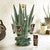 Azul Agave Tequila Set - Medium