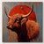Desert Dusk Longhorn Canvas