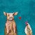 Pig Love Canvas Art