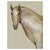 Equestrian Beauty Canvas Art