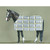Posing Horse in Gray Canvas Print