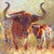Longhorns in Sunny Field Canvas Print