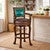 Canyon City Leather Barstool