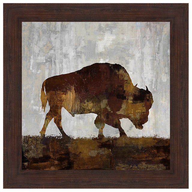 Bison Grazing Framed Print