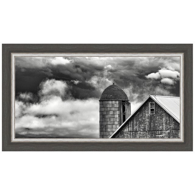 Companions Framed Print