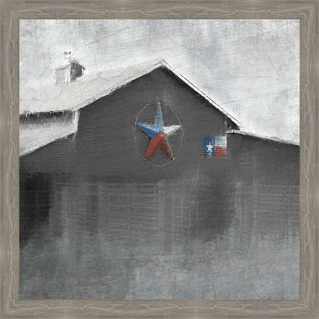 Texas Barn Canvas art