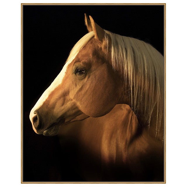 Yellow Jersey Framed Canvas