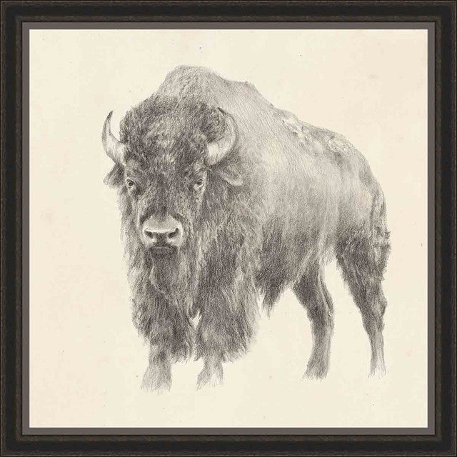 Bison Sketch II Wall Art