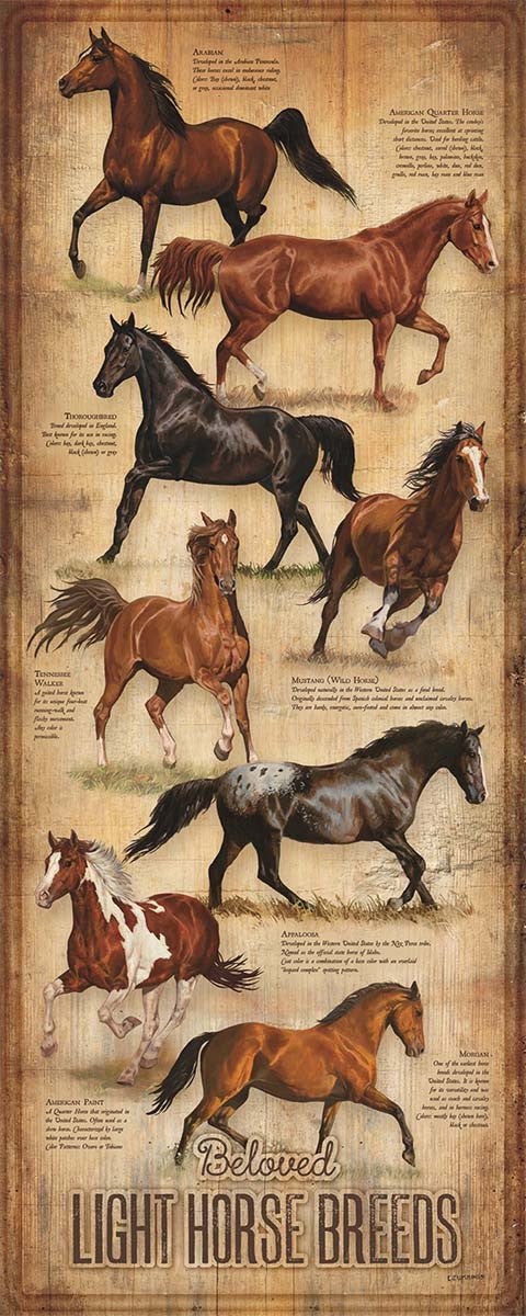 Equine Breeds Wood Sign