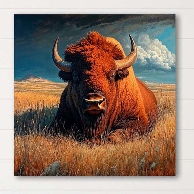 Western Plains Bison Canvas