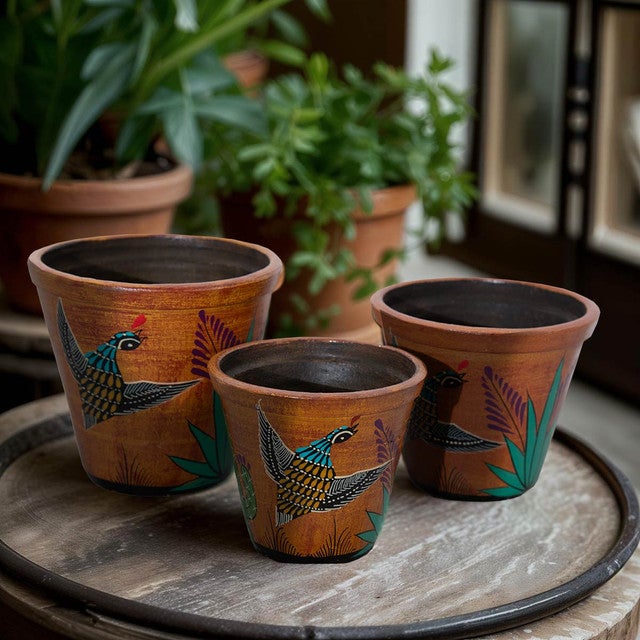 Desert Sky Quail Planters - Set of 3