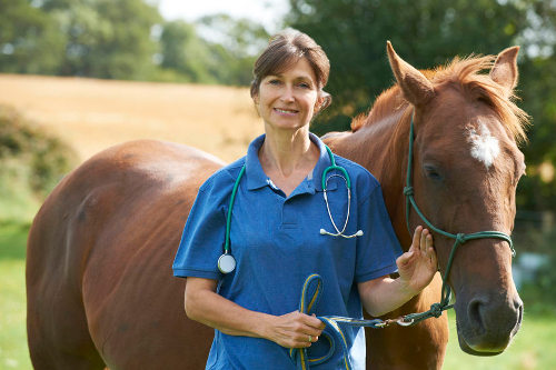 Choke In Horses: Treatment And Prevention
