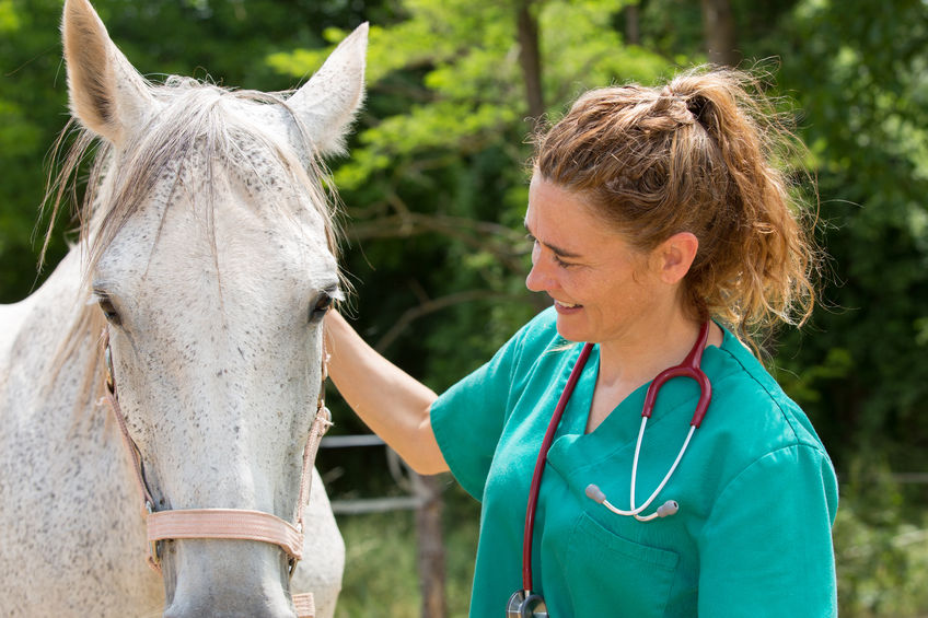 Essential Equine Vaccinations
