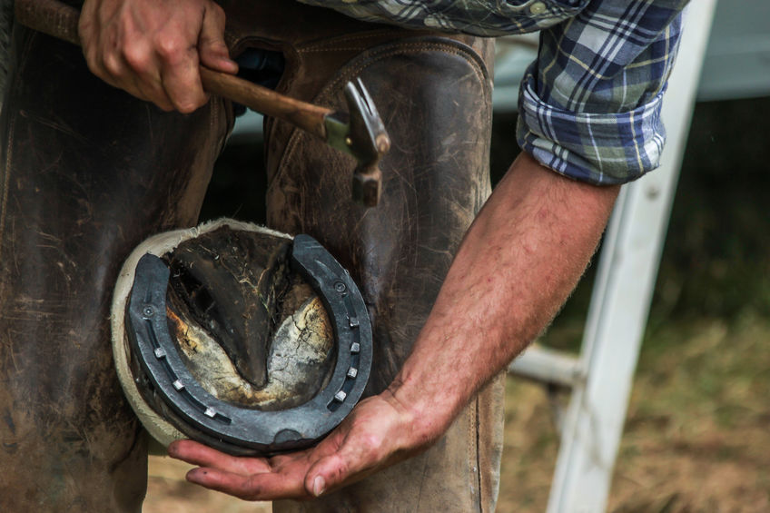 Horseshoeing: Yay or Nay