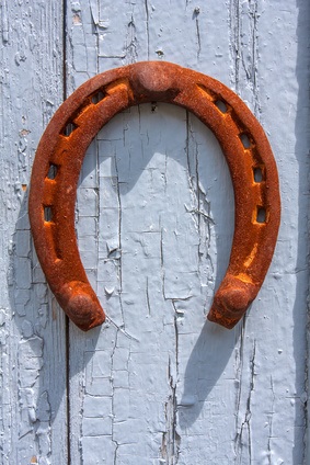 Horsing Around with Horseshoes: Fun Projects for the Home